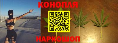 PSILOCYBIN Гусев