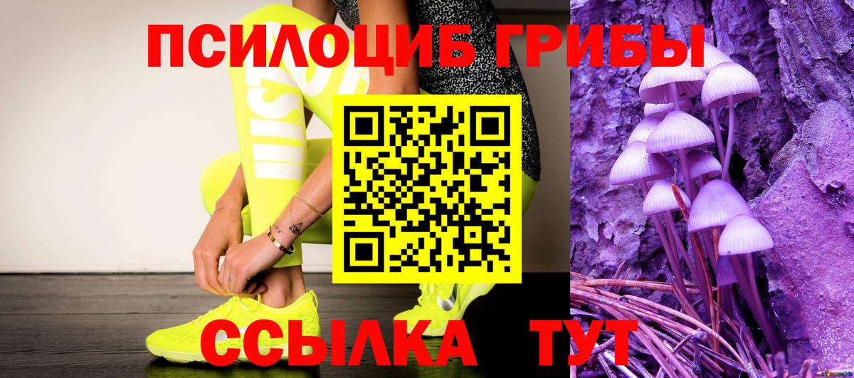 Псилоцибиновые грибы прущие грибы Мончегорск
