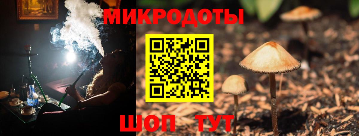 Галлюциногенные грибы Psilocybe  Вход с VPN  Галлюциногенные грибы Psilocybe  Мончегорск 